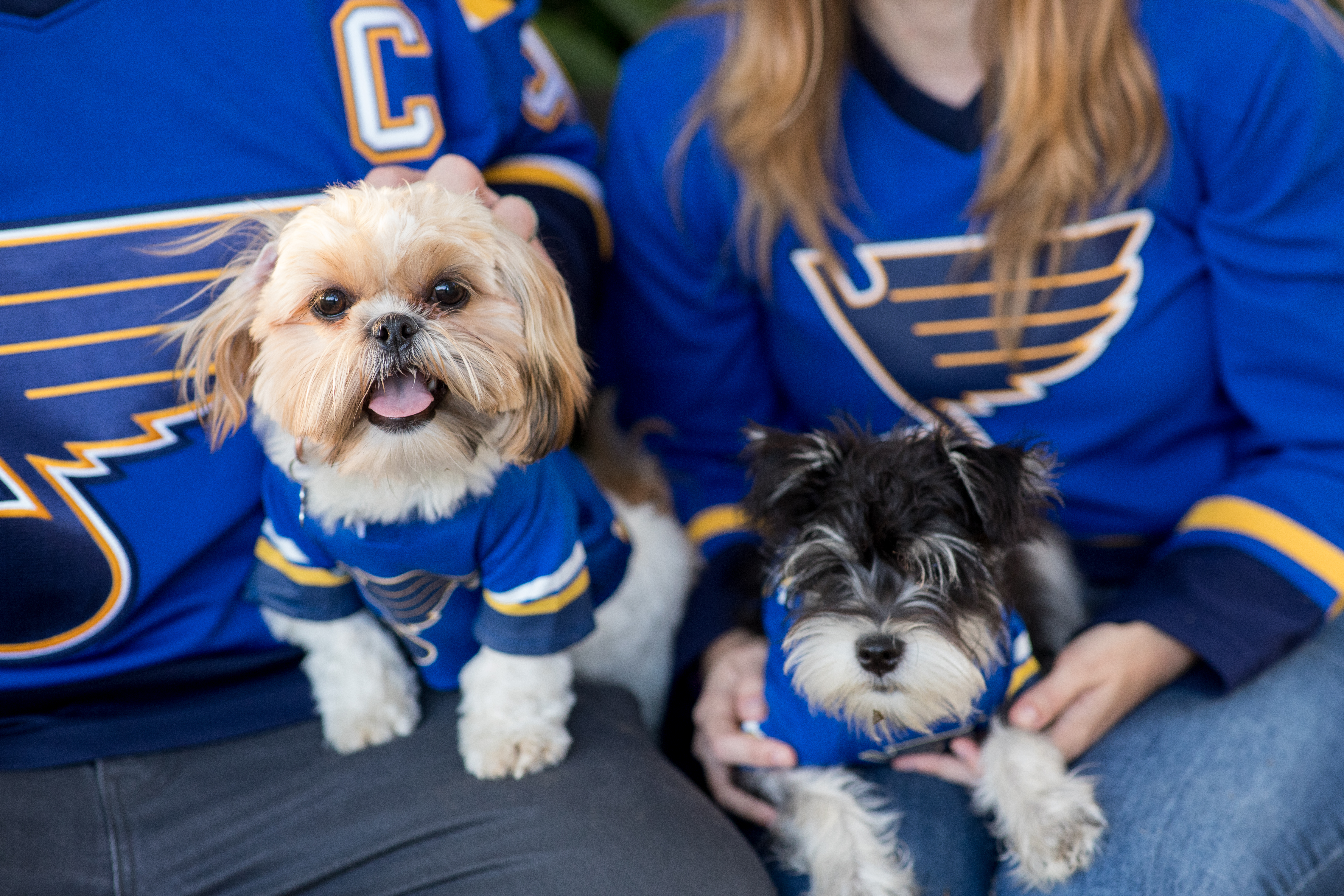 engagement photo of couple with their two dogs